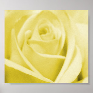 Poster Rosa amarelo sereno - poster/impressão