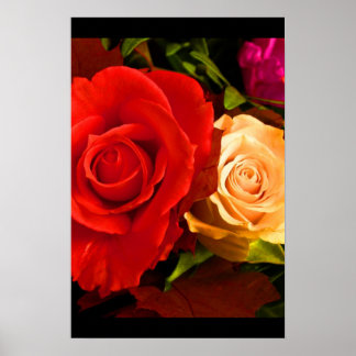 Póster Rosa Amarelo Vermelho III