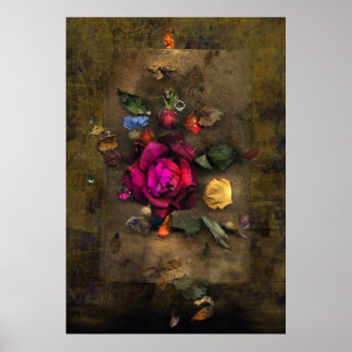 Poster Rosa antigo