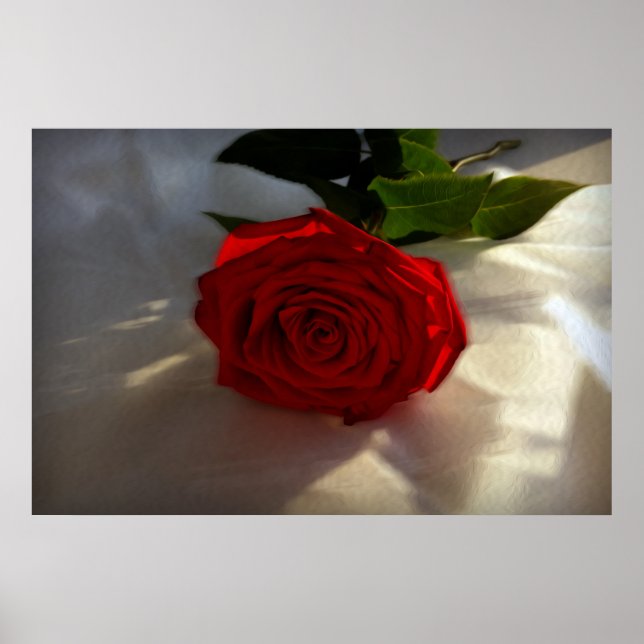 Poster rosa ao anoitecer (Frente)