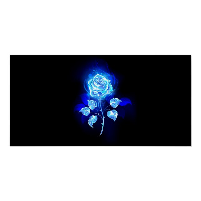 Póster Rosa Azul Ardente (Frente)