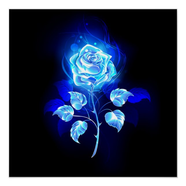 Póster Rosa Azul Ardente (Frente)