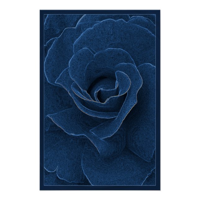 Póster Rosa azul velvet (Frente)