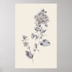 Póster rosa bege