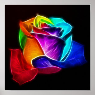 Poster Rosa bonito das cores 5