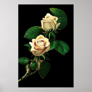 Poster Rosa branca