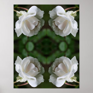 Poster Rosa Branca com Abstrato de Colírio