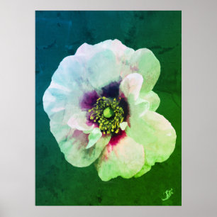 Poster Rosa Branca com coração escuro - pintura a óleo