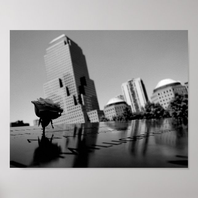 Poster Rosa branca da memória (Frente)