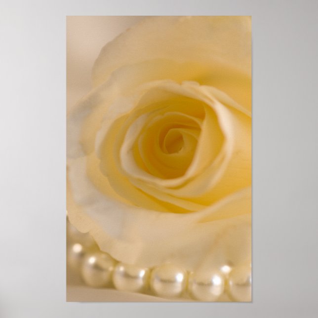 Póster Rosa Branca e Pérolas (Frente)