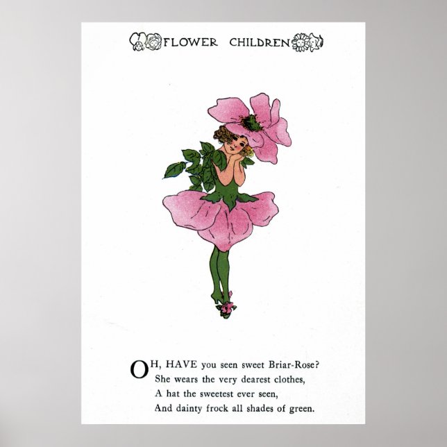 Poster Rosa Briar (Frente)