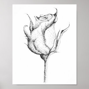POSTER ROSA BUD
