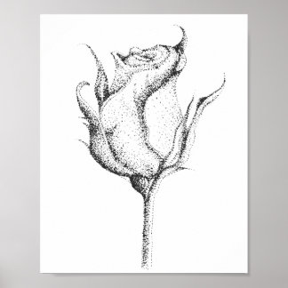 POSTER ROSA BUD