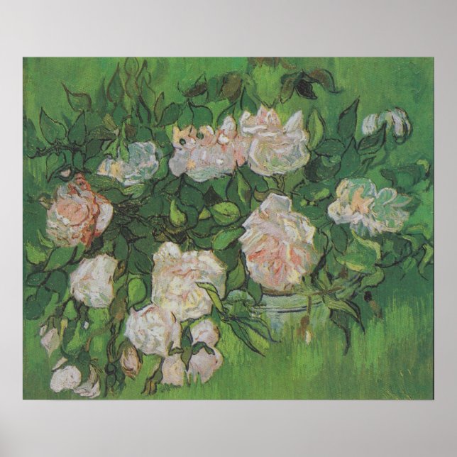 Poster Rosa Bush por Vincent Van Gogh (Frente)