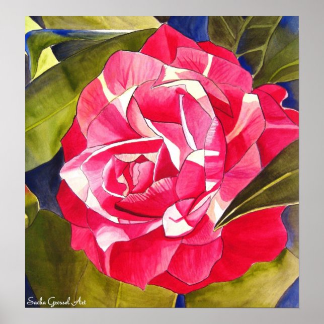 Poster Rosa Camellia aquarela pintura de flores (Frente)