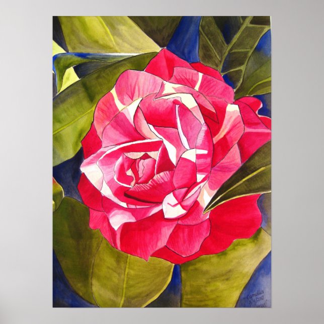 Poster Rosa Camellia aquarela pintura de flores (Frente)