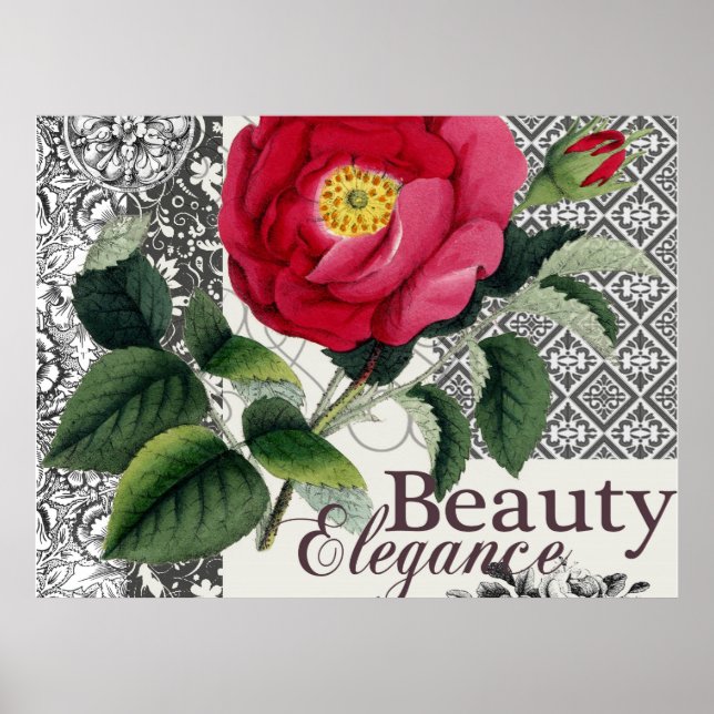 Póster Rosa Damasco Bonito Floral Antigo (Frente)