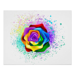 Póster Rosa de arco-íris colorido