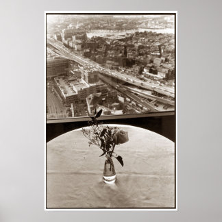 Póster Rosa de Big Dig