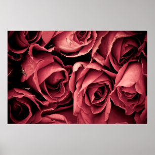 Poster Rosa de colheita romântica