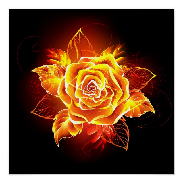 Póster Rosa de Fogo em Flor (Frente)