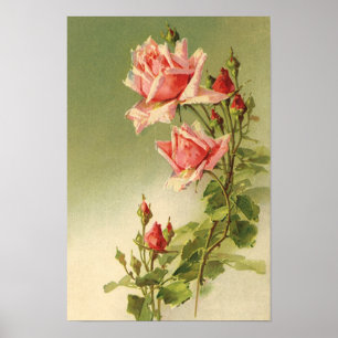 Póster Rosa de Jardim Vitoriano Rosa Dia de os namorados