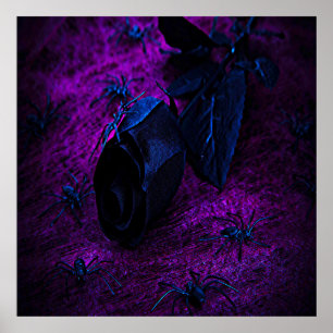 Poster Rosa de Material Negro Spooky, Aranhas Negras
