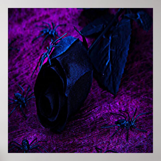 Poster Rosa de Material Negro Spooky, Aranhas Negras (Frente)