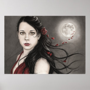 Poster Rosa de meia-noite