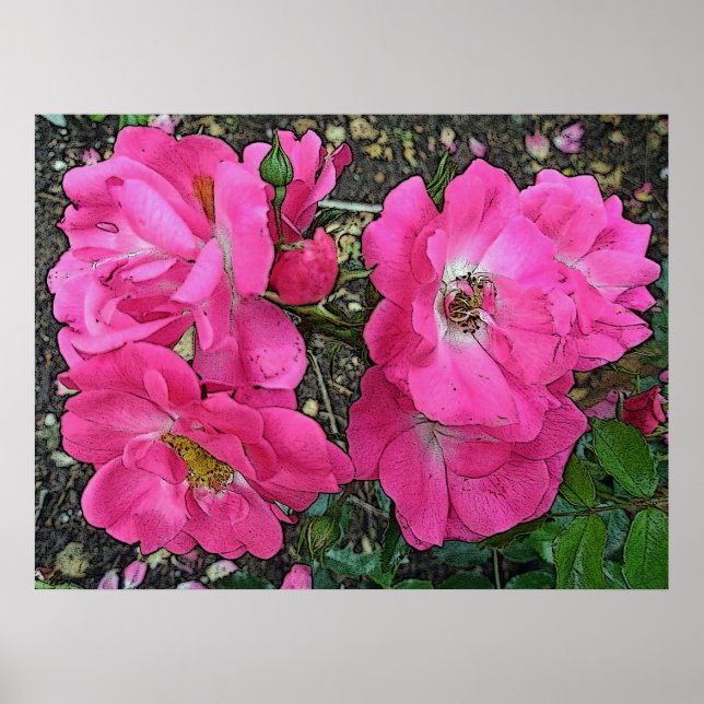 Poster Rosa de Subida Rosa Digitalmente Aprimorado (Frente)