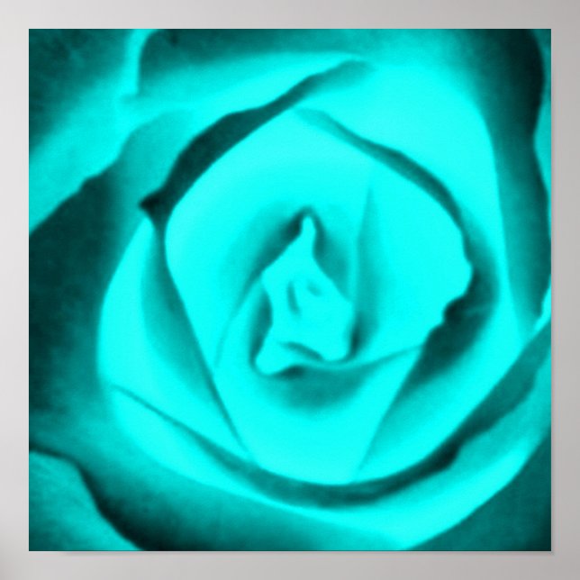 Póster Rosa de Teal (Frente)