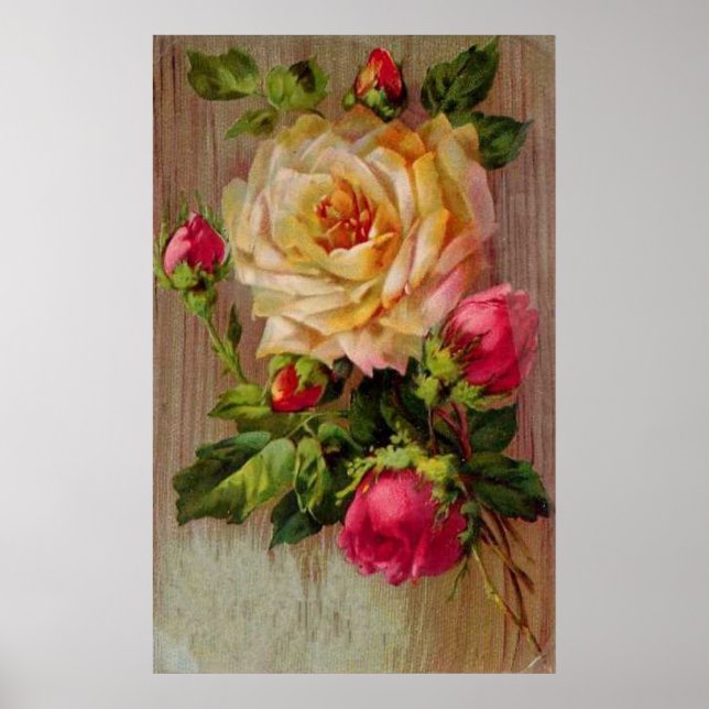 Poster Rosa de Vintage (Frente)