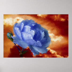 Póster Rosa do azul