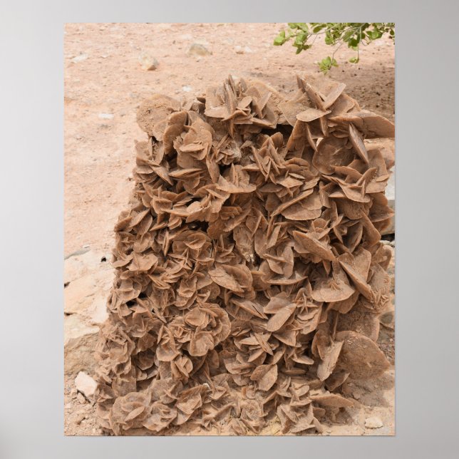 Poster Rosa do deserto. Tunísia. (Frente)