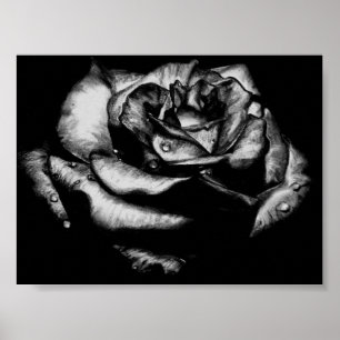 Póster Rosa do preto