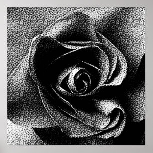 PÓSTER ROSA DO PRETO