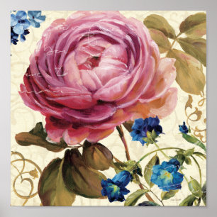 Póster Rosa do rosa na flor completa