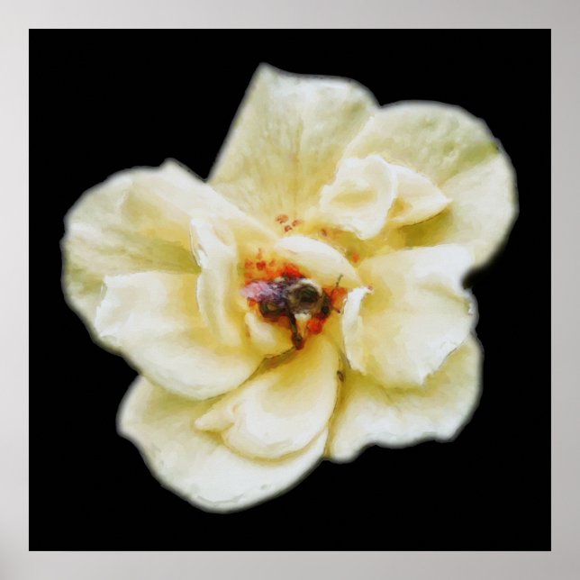 Poster Rosa e Abelha (Frente)