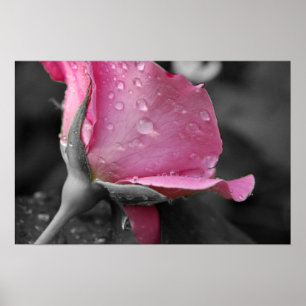 Poster rosa e preto