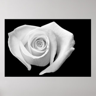 Poster Rosa em forma de coração, preto e branco