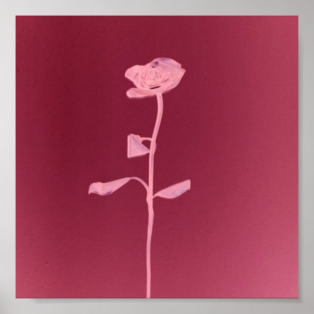 PÓSTER ROSA EXCLUSIVO (Frente)