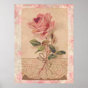 Póster Rosa francês do rosa do Victorian