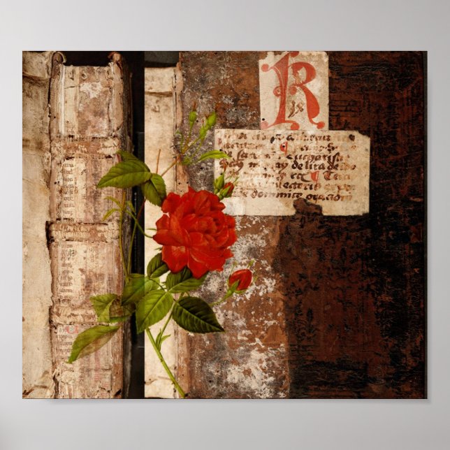 Poster Rosa Grunge (Frente)