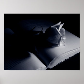 Poster Rosa literário