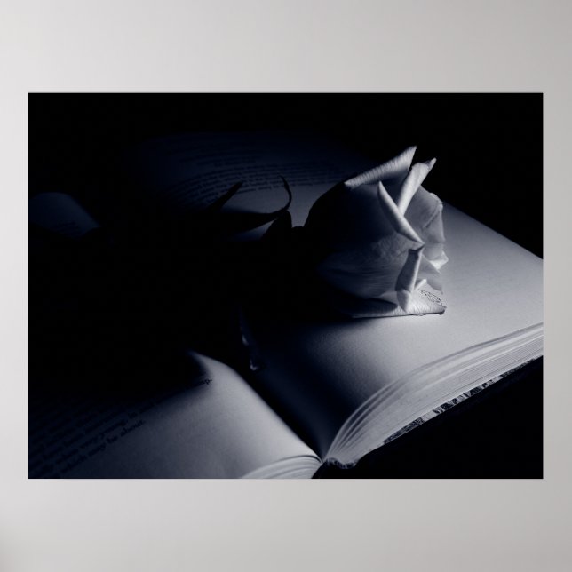 Poster Rosa literário (Frente)