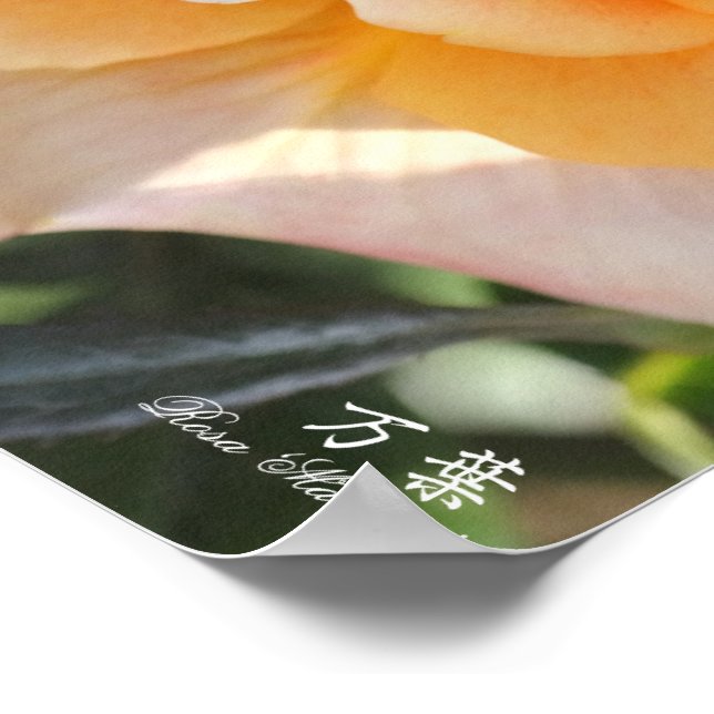 Poster Rosa"Manyo" (万 葉) (Borda)