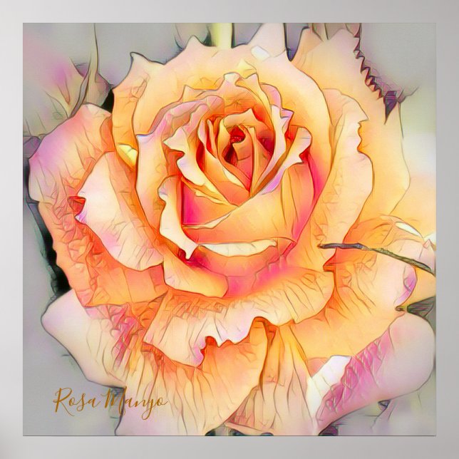 Poster Rosa“Manyo” [Valor do Papel do Cartaz] (Frente)