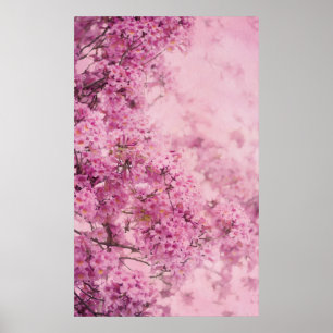 Poster Rosa no rosa