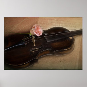 Poster Rosa no violino