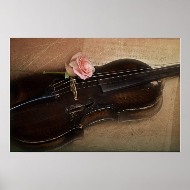 Poster Rosa no Violino (Frente)